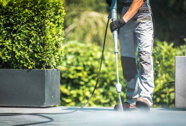 Best Dumpster Area Cleaning  in Carnesville, GA