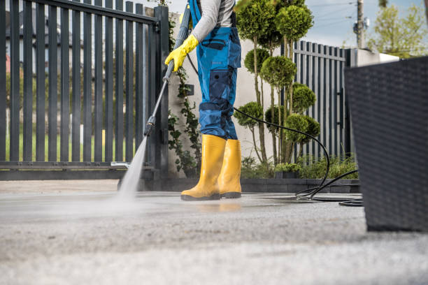 Best Building Exterior Washing  in Carnesville, GA