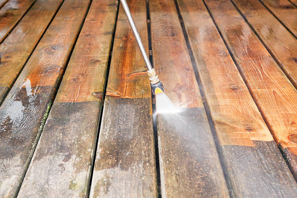 Best Spring Cleaning  in Carnesville, GA